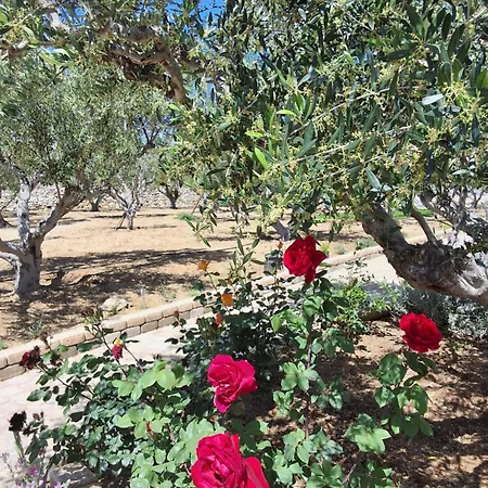 Апартаменты Levanda House