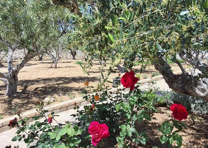 Lägenhet Levanda House